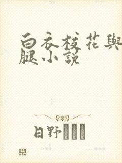 白衣校花与大长腿小说