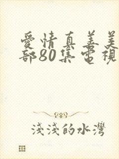 爱情真善美第二部80集电视剧