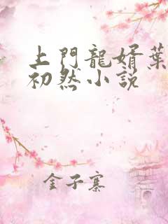 上门龙婿叶辰萧初然小说