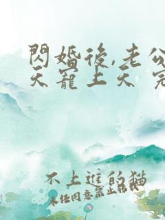 闪婚后,老公每天宠上天 完结