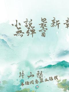 小说 最新章节 无弹窗