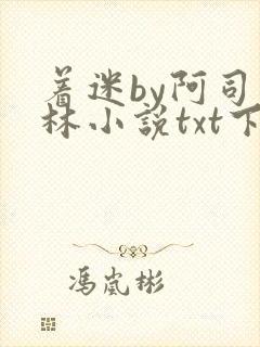 着迷by阿司匹林小说txt下载