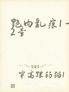 艳肉乱痕1一12章