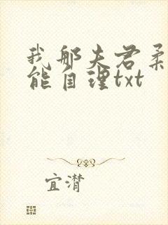 我那夫君柔弱不能自理txt