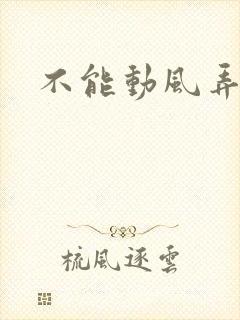不能动风弄