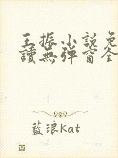 王振小说免费阅读无弹窗全文