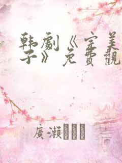 韩剧《完美的妻子》免费观看