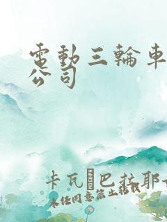 电动三轮车出租公司