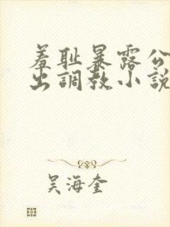 羞耻暴露公共露出调教小说