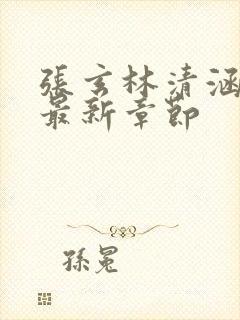 张玄林清涵全文最新章节