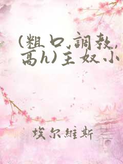 (粗口,调教,高h)主奴小说任