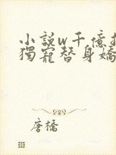 小说w千亿总裁独宠替身娇妻》