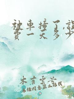 被车撞了,误工费一天多少钱