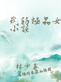 我的极品女老师小说