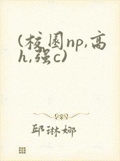 (校园np,高h,强c)