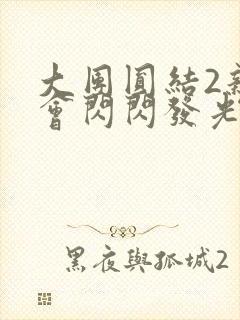 大团圆结2亲情会闪闪发光亲情会2