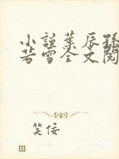 小说叶辰孙怡夏若雪全文阅读