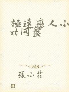 极速恋人小说txt网盘