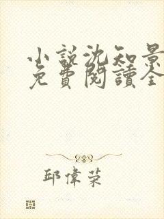 小说沈知景夏晴免费阅读全文