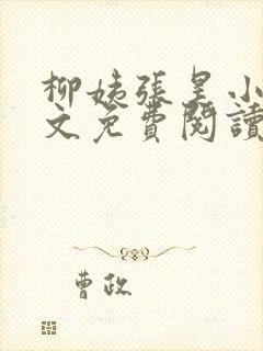 柳姨张昊小说全文免费阅读