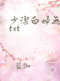少洁白妇无删减txt