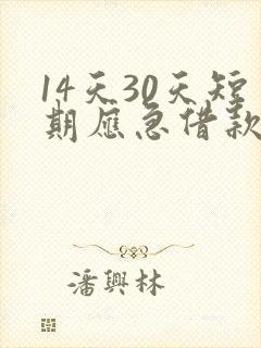 14天30天短期应急借款