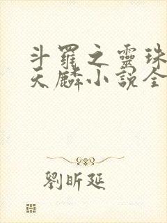 斗罗之灵珠神剑天麟小说全文免费阅读下载