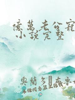 亿万老公宠上天 小说完整