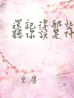 还记得那些夜晚听你说是什么歌