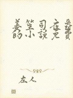 姜笙司夜爵顾念的小说免费阅读