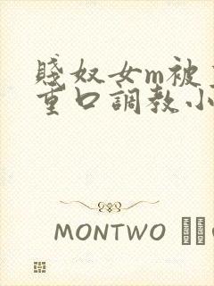 贱奴女m被主人重口调教小说