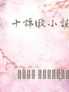 十锦缎小说