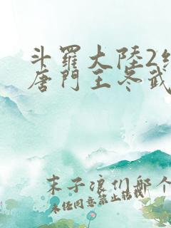 斗罗大陆2绝世唐门王冬武魂