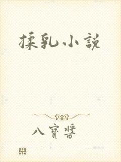 揉乳小说