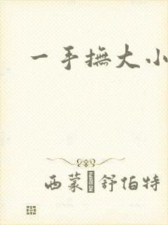 一手抚大小说