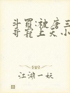 斗罗:被唐三哥哥宠上天小说全部章节