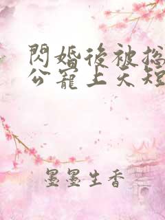 闪婚后被总裁老公宠上天短剧免费观看