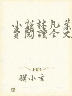 小说林凡叶惜免费阅读全文最新