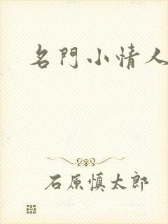 名门小情人