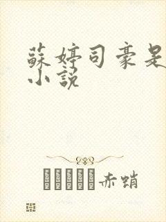 苏婷司豪是什么小说