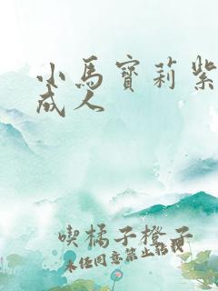 小马宝莉紫悦变成人