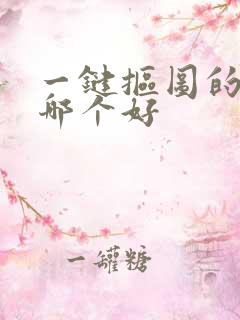 一键抠图的软件哪个好