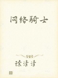 网络骑士