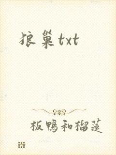 狼巢txt