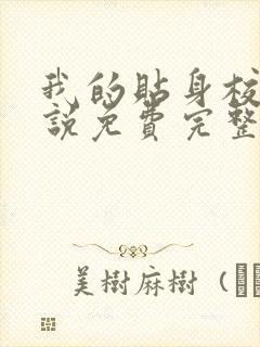 我的贴身校花小说免费完整版