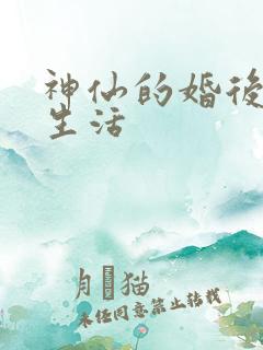 神仙的婚后都市生活