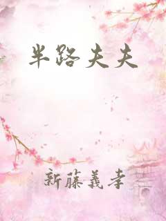 半路夫夫
