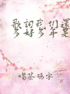 歌词我们还有好多好多年是什么歌