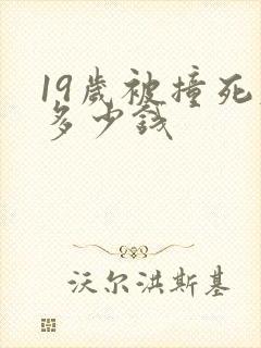 19岁被撞死赔多少钱