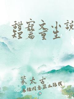 甜宠文小说推荐短篇重生